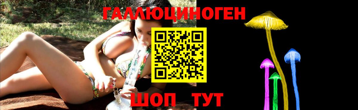 Галлюциногенные грибы мицелий  Вход с VPN  Псилоцибиновые грибы GOLDEN TEACHER  Северобайкальск 