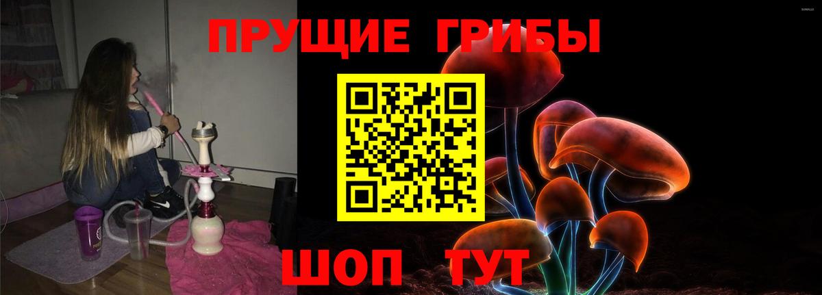 Псилоцибиновые грибы прущие грибы Северобайкальск